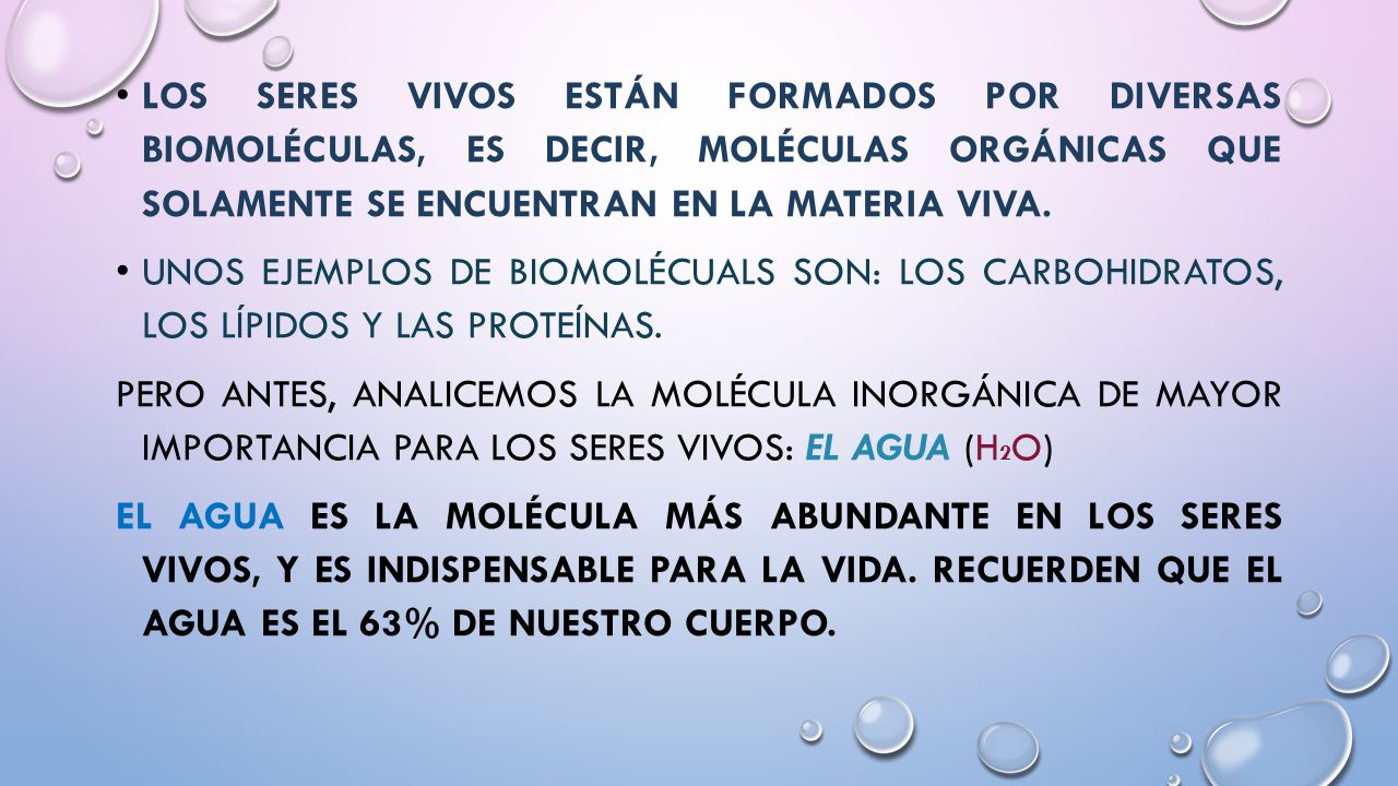Los seres vivos están formados por diversas biomoléculas, es decir, moléculas orgánicas que solamente se encuentran en la materia viva.