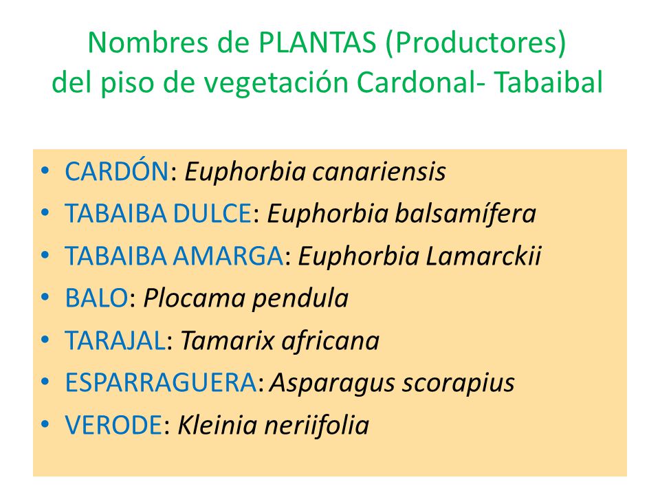 Nombres de PLANTAS (Productores) del piso de vegetación Cardonal- Tabaibal