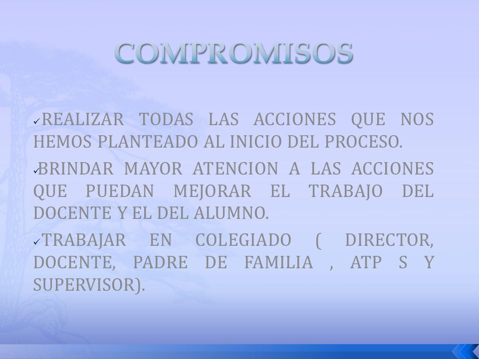 COMPROMISOS REALIZAR TODAS LAS ACCIONES QUE NOS HEMOS PLANTEADO AL INICIO DEL PROCESO.