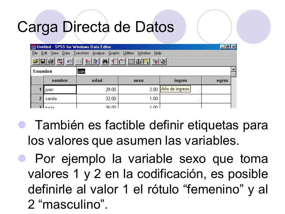 Carga Directa de Datos También es factible definir etiquetas para los valores que asumen las variables.
