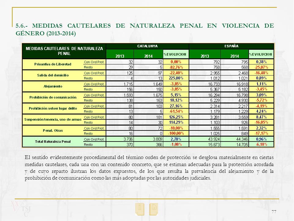 5.6.- MEDIDAS CAUTELARES DE NATURALEZA PENAL EN VIOLENCIA DE GÉNERO ( )