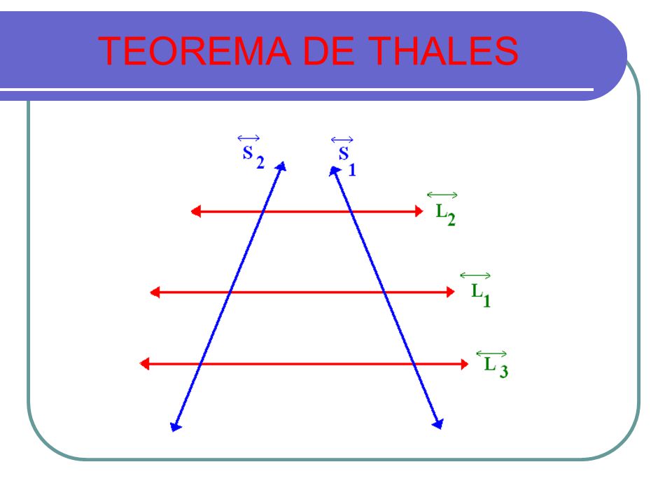 TEOREMA DE THALES