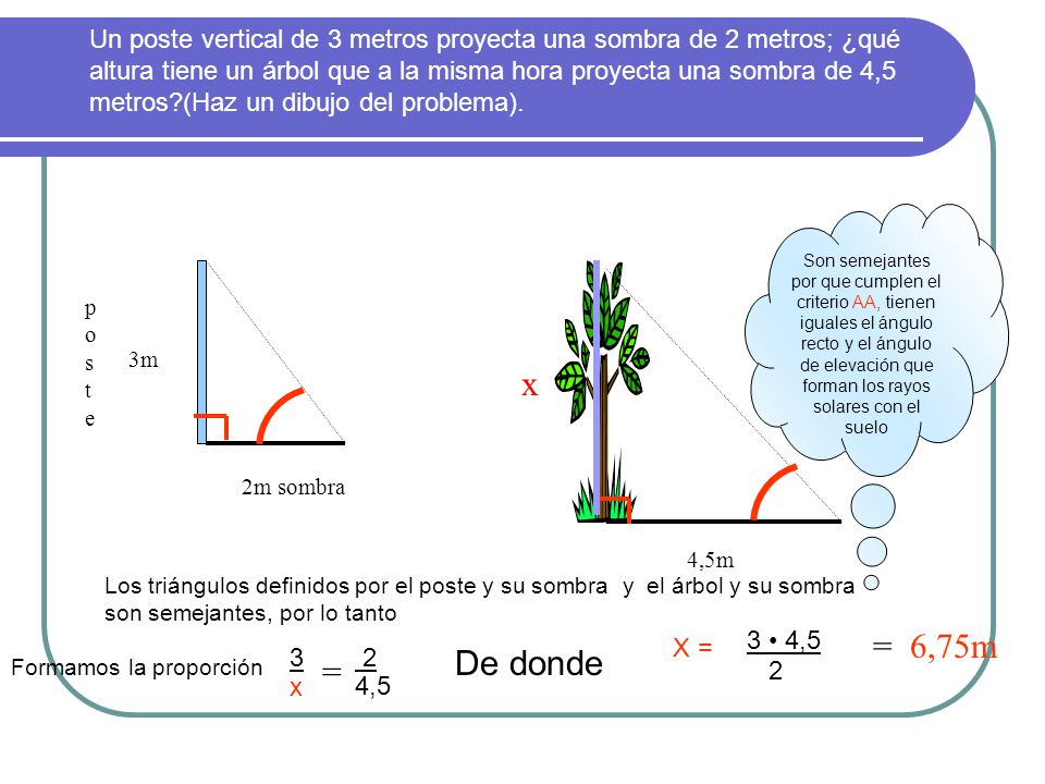 Un poste vertical de 3 metros proyecta una sombra de 2 metros; ¿qué altura tiene un árbol que a la misma hora proyecta una sombra de 4,5 metros (Haz un dibujo del problema).
