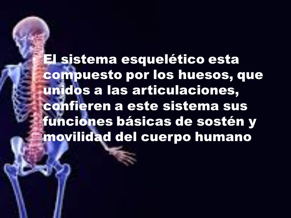 El sistema esquelético esta compuesto por los huesos, que unidos a las articulaciones, confieren a este sistema sus funciones básicas de sostén y movilidad del cuerpo humano