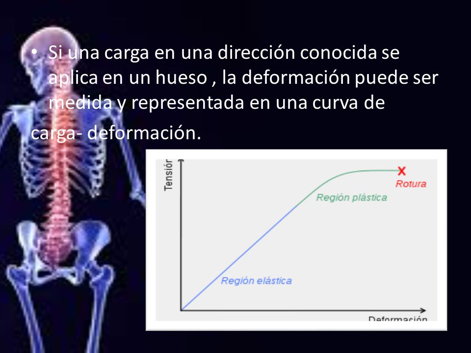 Si una carga en una dirección conocida se aplica en un hueso , la deformación puede ser medida y representada en una curva de