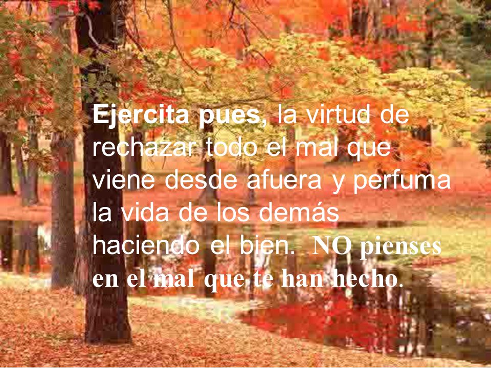 Ejercita pues, la virtud de rechazar todo el mal que viene desde afuera y perfuma la vida de los demás haciendo el bien.