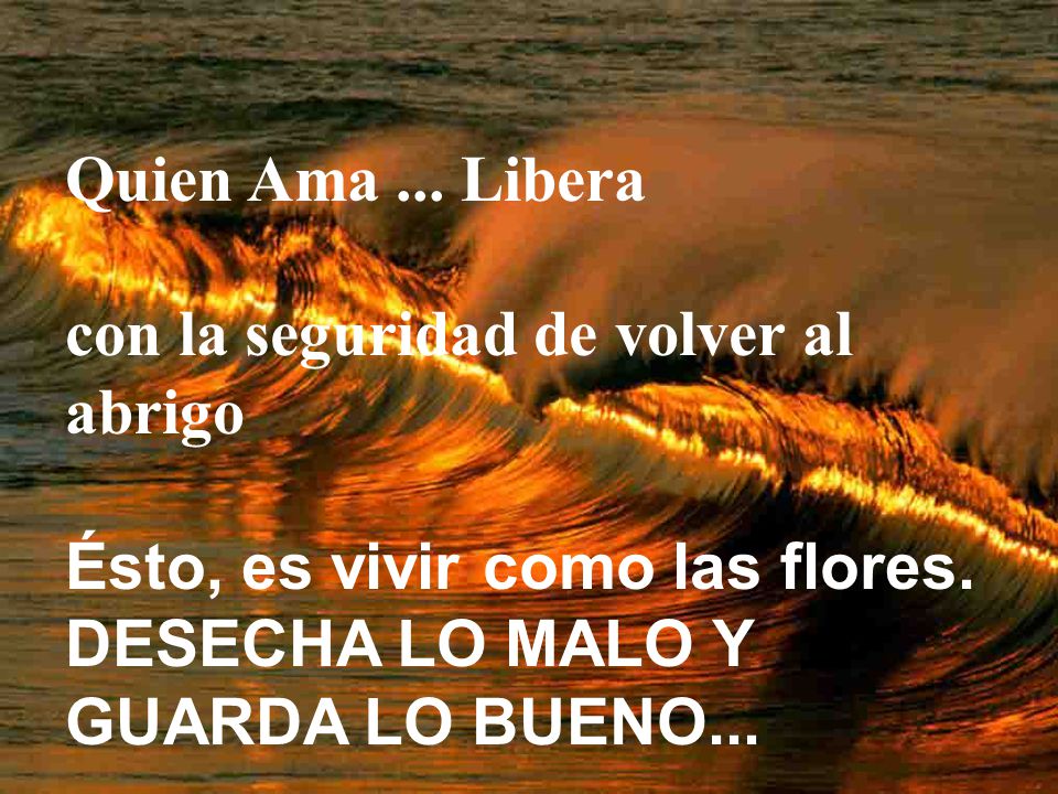 Quien Ama ... Libera con la seguridad de volver al abrigo.