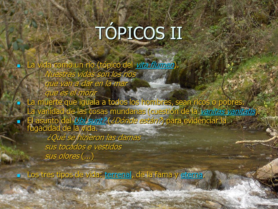TÓPICOS II La vida como un río (tópico del vita flumen).