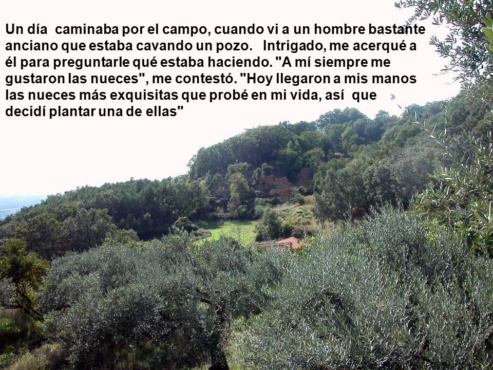Un día caminaba por el campo, cuando vi a un hombre bastante