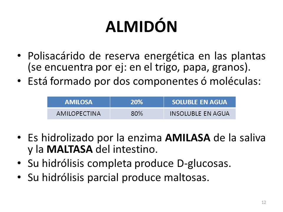 ALMIDÓN Polisacárido de reserva energética en las plantas (se encuentra por ej: en el trigo, papa, granos).