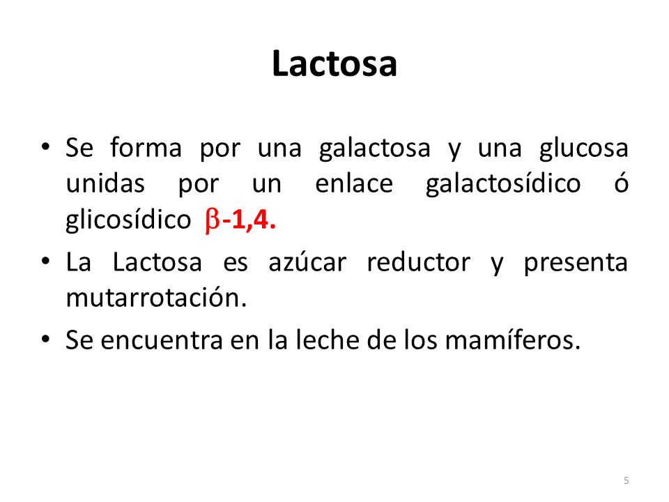 Lactosa Se forma por una galactosa y una glucosa unidas por un enlace galactosídico ó glicosídico -1,4.