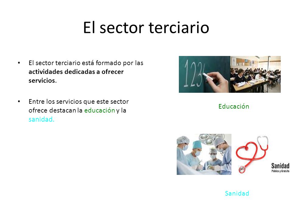 El sector terciario El sector terciario está formado por las actividades dedicadas a ofrecer servicios.