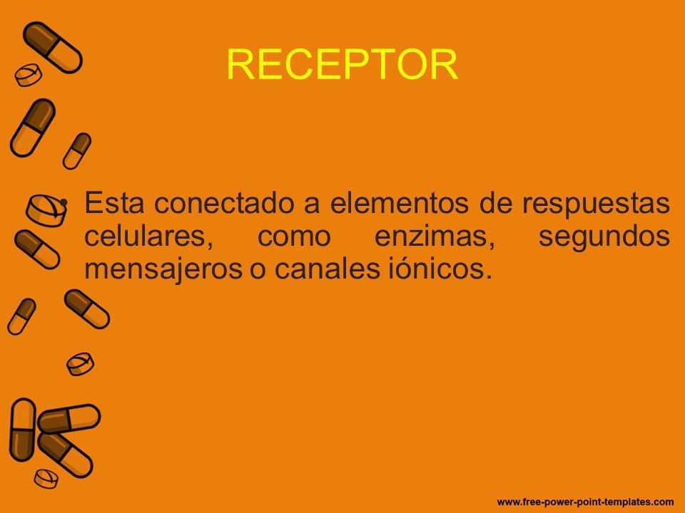RECEPTOR Esta conectado a elementos de respuestas celulares, como enzimas, segundos mensajeros o canales iónicos.