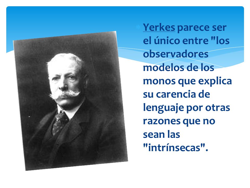 Yerkes parece ser el único entre los observadores modelos de los monos que explica su carencia de lenguaje por otras razones que no sean las intrínsecas .