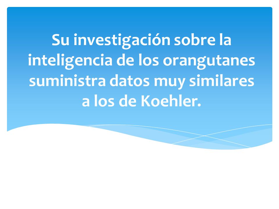 Su investigación sobre la inteligencia de los orangutanes suministra datos muy similares a los de Koehler.