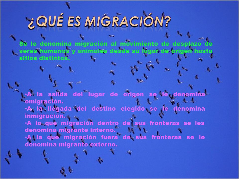 ¿Qué es migración Se le denomina migración al movimiento de desplazo de seres humanos y animales desde su lugar de origen hasta sitios distintos.