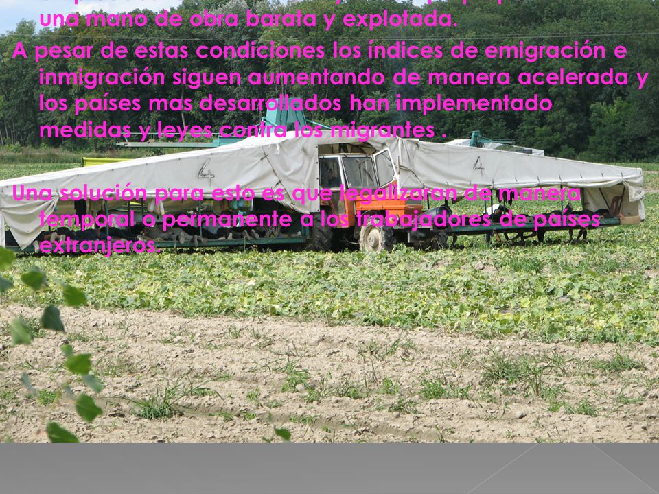 En los países de alto desarrollo los emigrantes son empleados en las fabricas y el campo proporcionando una mano de obra barata y explotada.