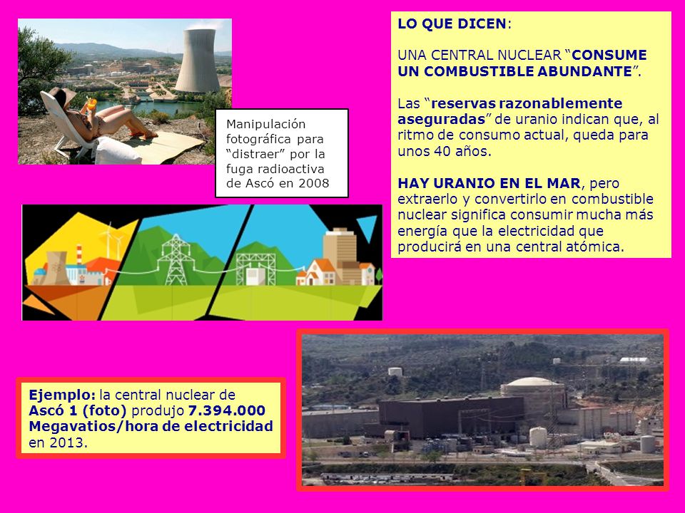 LO QUE DICEN: UNA CENTRAL NUCLEAR CONSUME UN COMBUSTIBLE ABUNDANTE
