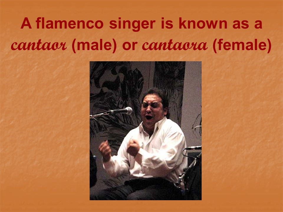A flamenco singer is known as a cantaor (male) or cantaora (female)