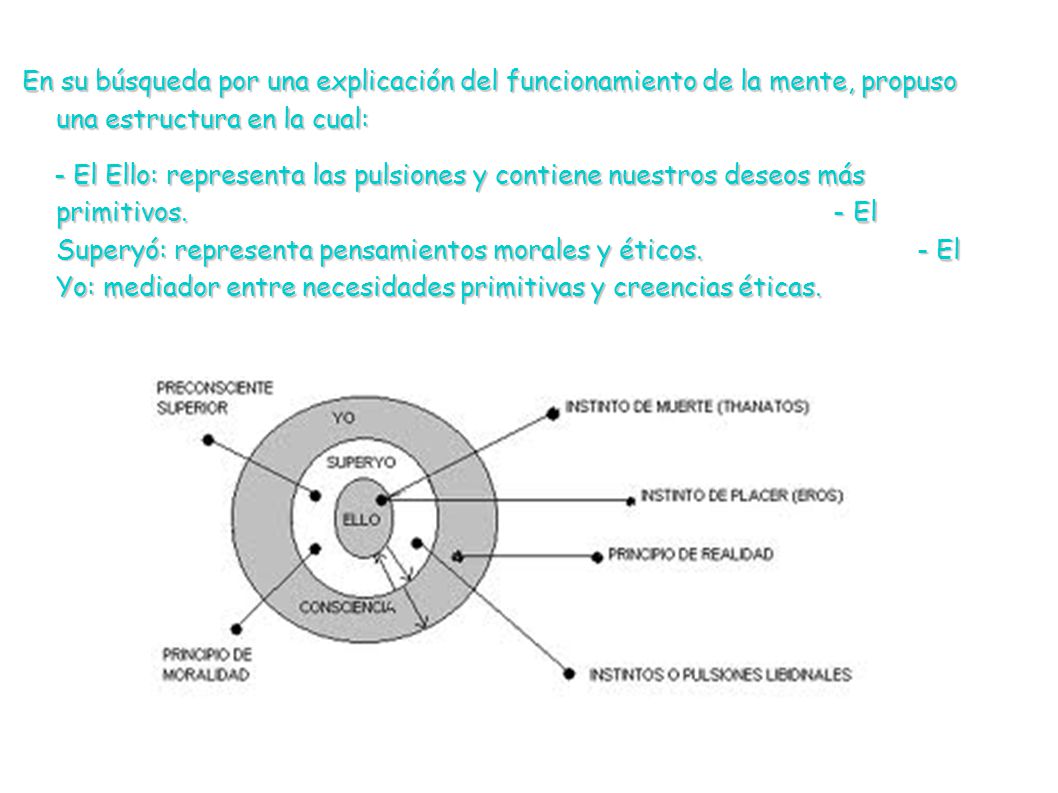 En su búsqueda por una explicación del funcionamiento de la mente, propuso una estructura en la cual: