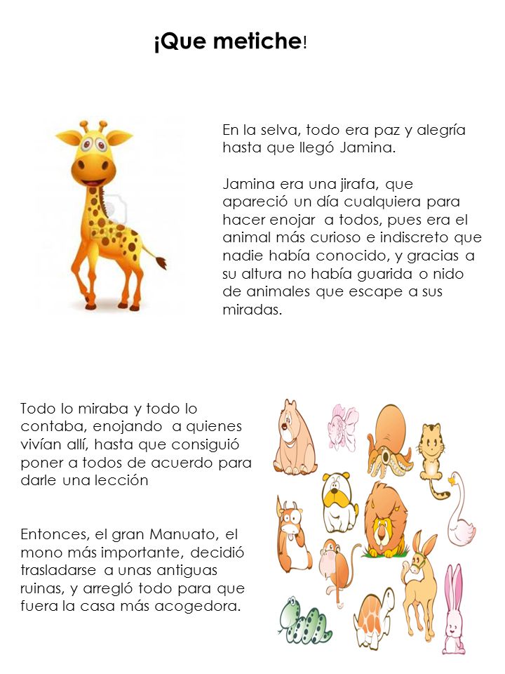 ¡Que metiche! En la selva, todo era paz y alegría hasta que llegó Jamina.
