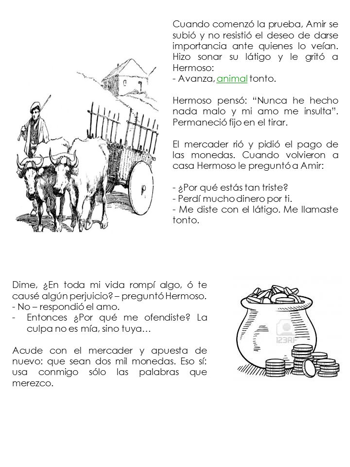 Cuando comenzó la prueba, Amir se subió y no resistió el deseo de darse importancia ante quienes lo veían. Hizo sonar su látigo y le gritó a Hermoso: