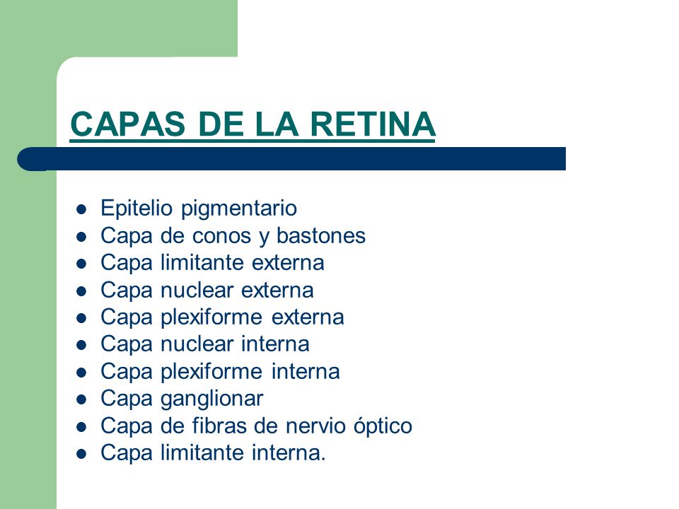 CAPAS DE LA RETINA Epitelio pigmentario Capa de conos y bastones