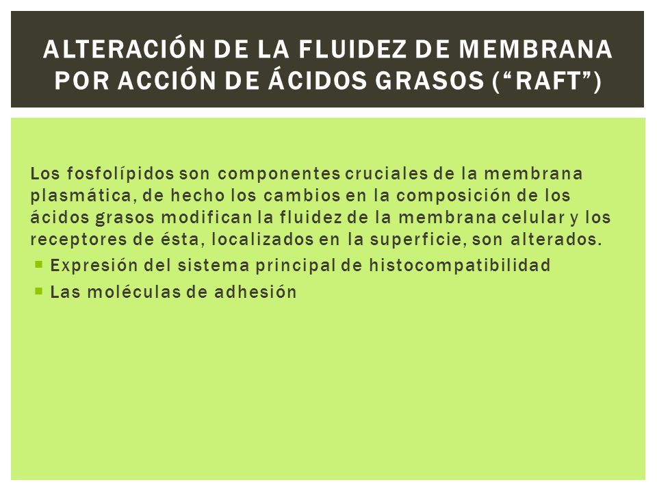 Alteración de la fluidez de membrana por acción de ácidos grasos ( Raft )