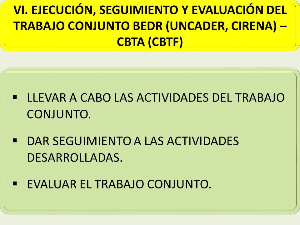 VI. EJECUCIÓN, SEGUIMIENTO Y EVALUACIÓN DEL TRABAJO CONJUNTO BEDR (UNCADER, CIRENA) – CBTA (CBTF)