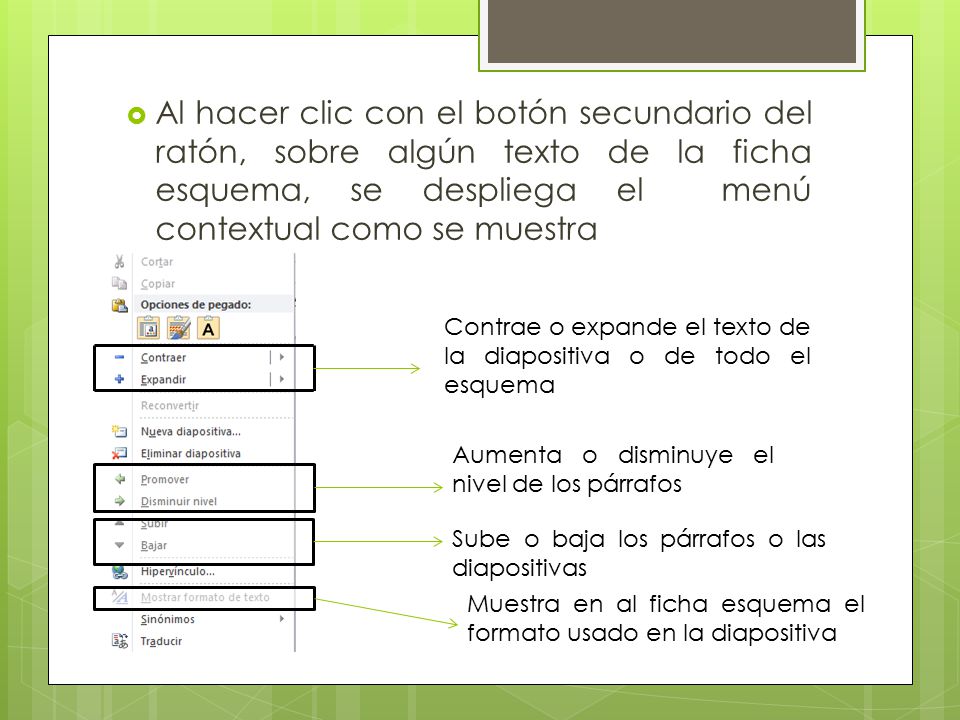 Al hacer clic con el botón secundario del ratón, sobre algún texto de la ficha esquema, se despliega el menú contextual como se muestra