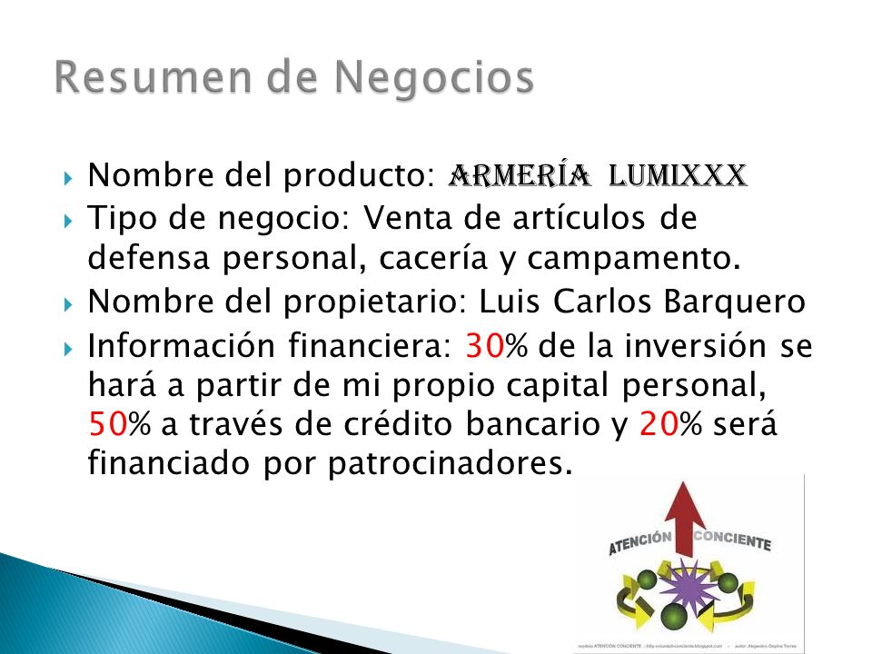 Resumen de Negocios Nombre del producto: Armería lumixxx