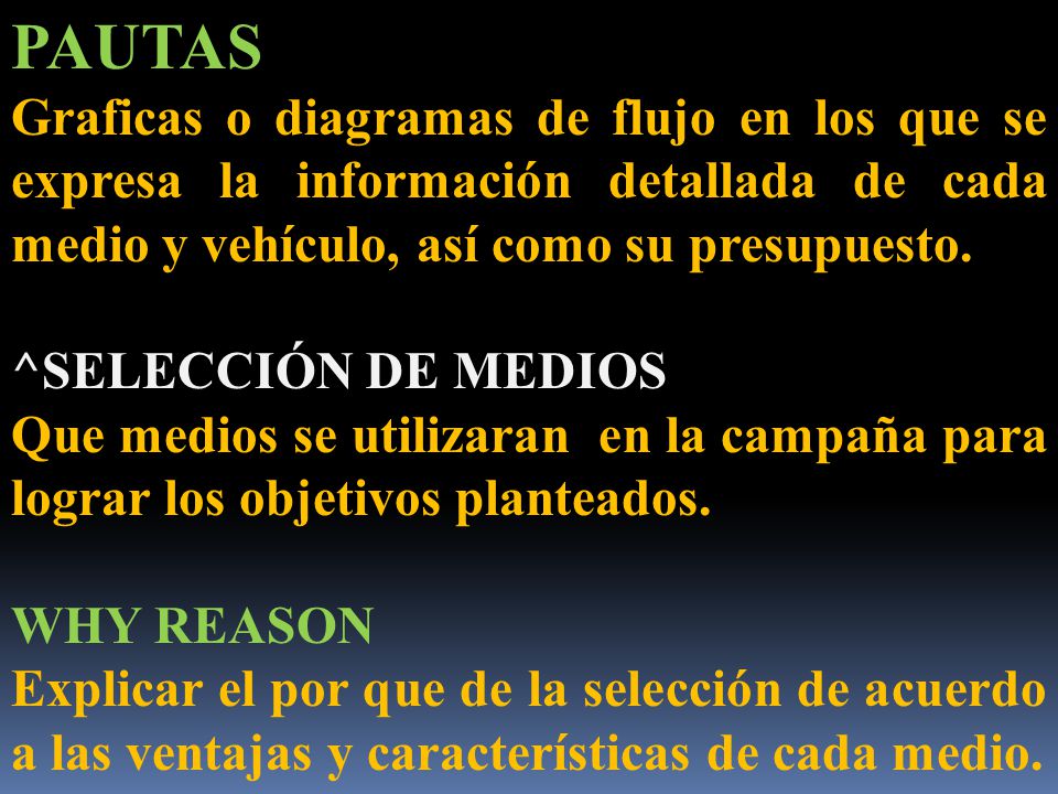 PAUTAS Graficas o diagramas de flujo en los que se expresa la información detallada de cada medio y vehículo, así como su presupuesto.