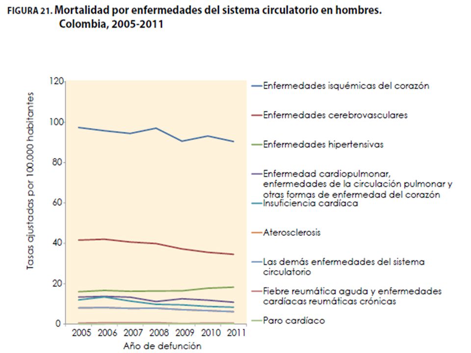 En hombres las enfermedades isquémicas del corazón muestran una leve tendencia al descenso; entre 2005 y 2011 las tasas de mortalidad ajustadas por edad pasaron de 97,36 a 90,43 muertes por cada hombres.