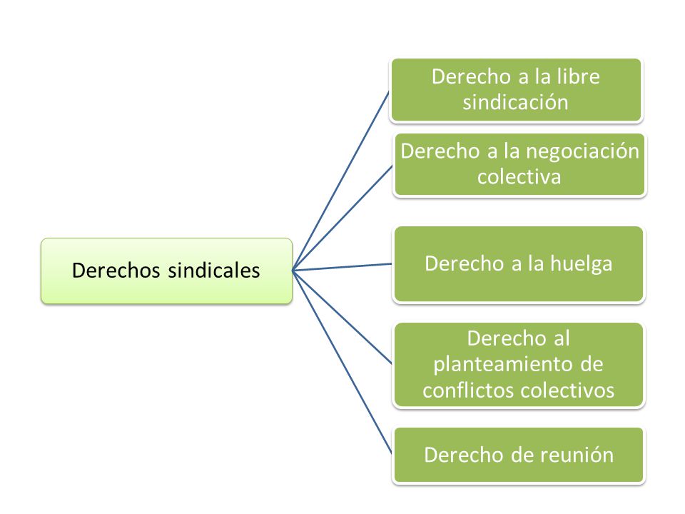 Derecho a la libre sindicación Derecho a la negociación colectiva