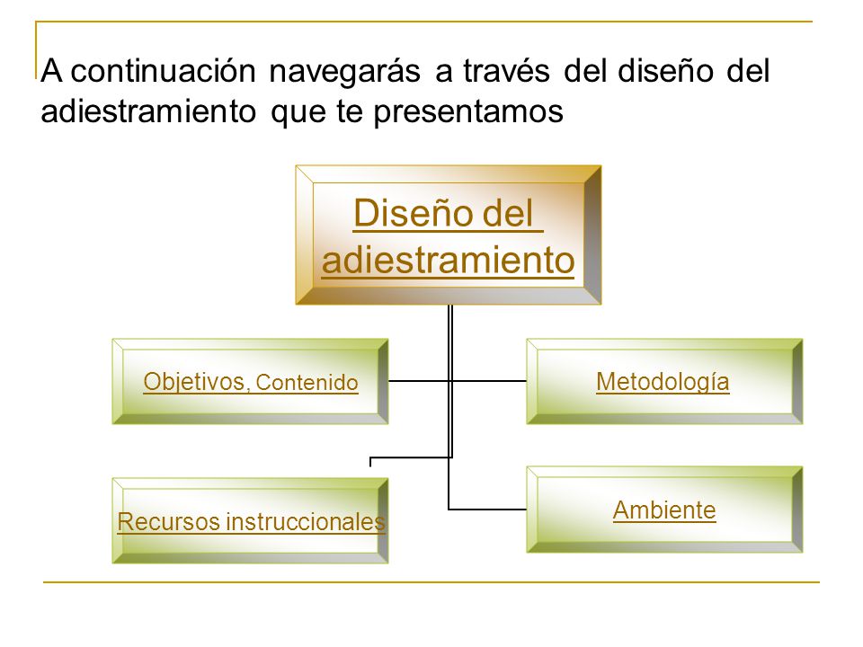 A continuación navegarás a través del diseño del adiestramiento que te presentamos