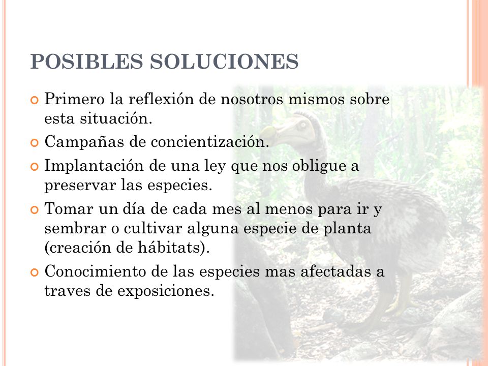 POSIBLES SOLUCIONES Primero la reflexión de nosotros mismos sobre esta situación. Campañas de concientización.