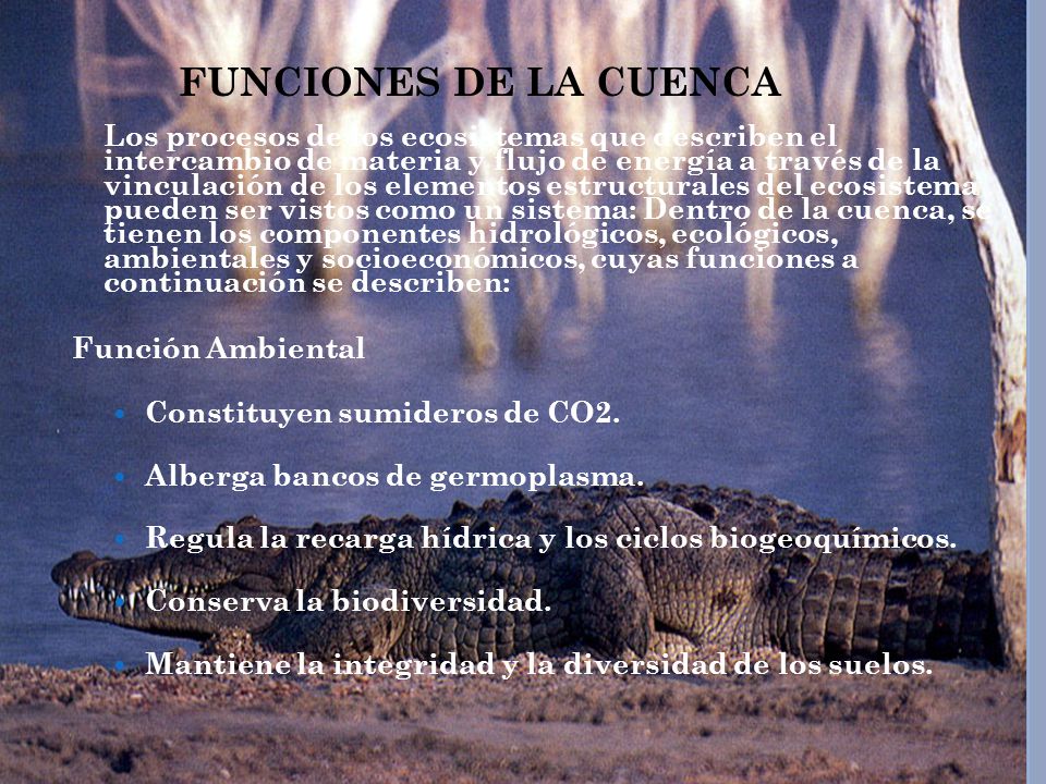 FUNCIONES DE LA CUENCA Función Ambiental Constituyen sumideros de CO2.