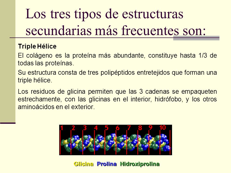 Los tres tipos de estructuras secundarias más frecuentes son:
