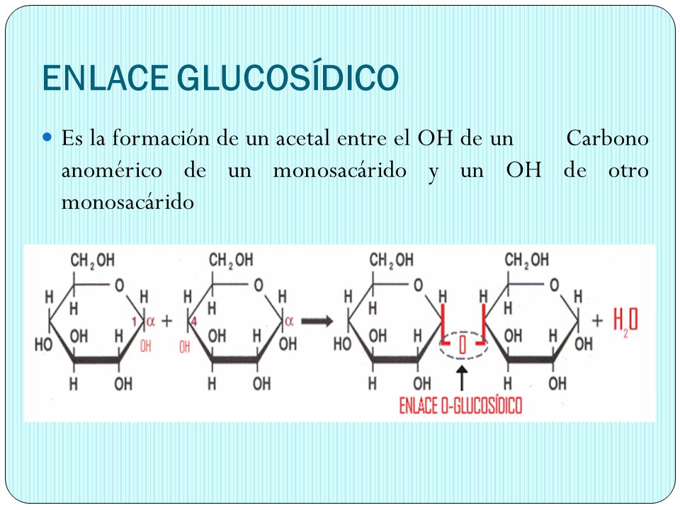 ENLACE GLUCOSÍDICO Es la formación de un acetal entre el OH de un Carbono anomérico de un monosacárido y un OH de otro monosacárido.