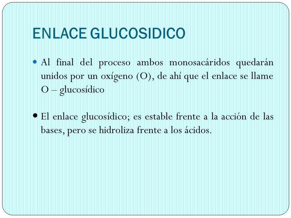 ENLACE GLUCOSIDICO Al final del proceso ambos monosacáridos quedarán unidos por un oxígeno (O), de ahí que el enlace se llame O – glucosídico.