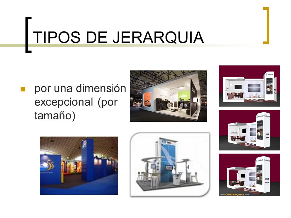 TIPOS DE JERARQUIA por una dimensión excepcional (por tamaño)