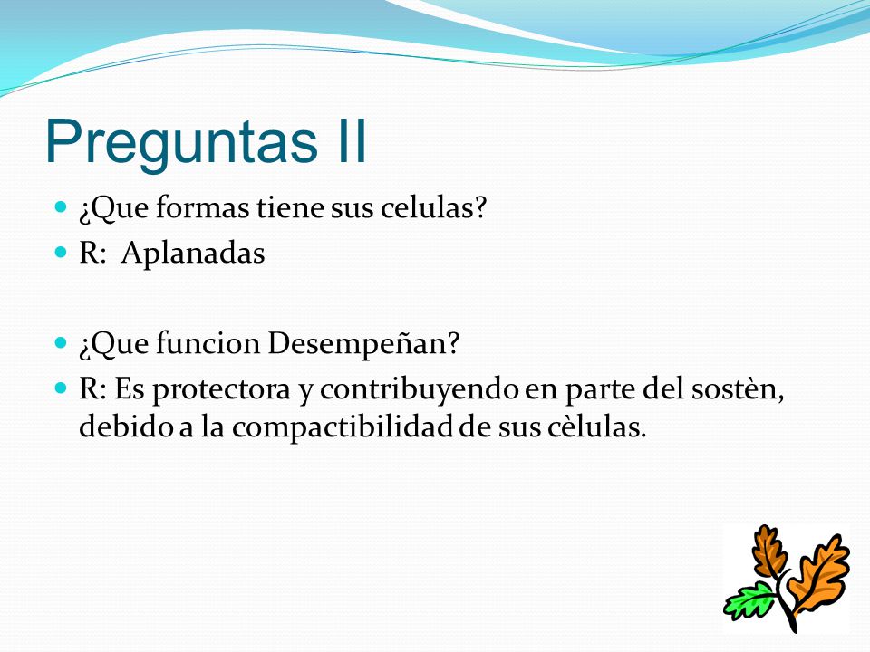 Preguntas II ¿Que formas tiene sus celulas R: Aplanadas