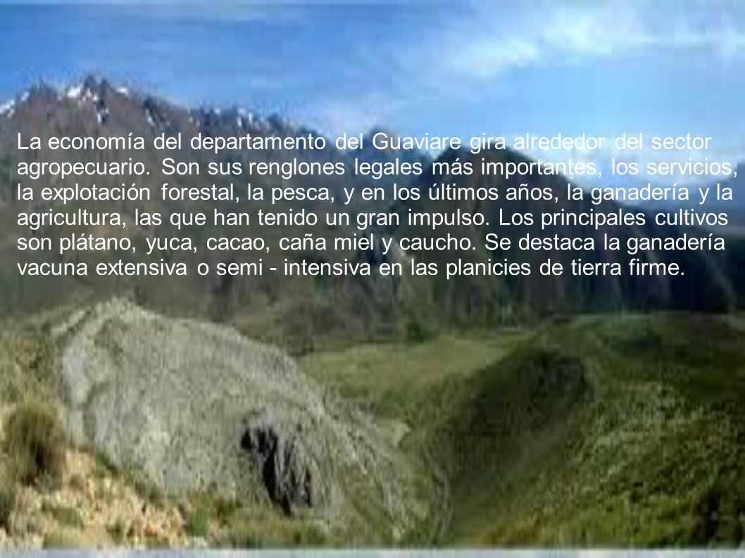 La economía del departamento del Guaviare gira alrededor del sector agropecuario. Son sus renglones legales más importantes, los servicios, la explotación forestal, la pesca, y en los últimos años, la ganadería y la agricultura, las que han tenido un gran impulso. Los principales cultivos son plátano, yuca, cacao, caña miel y caucho. Se destaca la ganadería vacuna extensiva o semi - intensiva en las planicies de tierra firme.