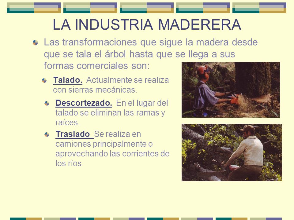LA INDUSTRIA MADERERA Las transformaciones que sigue la madera desde que se tala el árbol hasta que se llega a sus formas comerciales son: