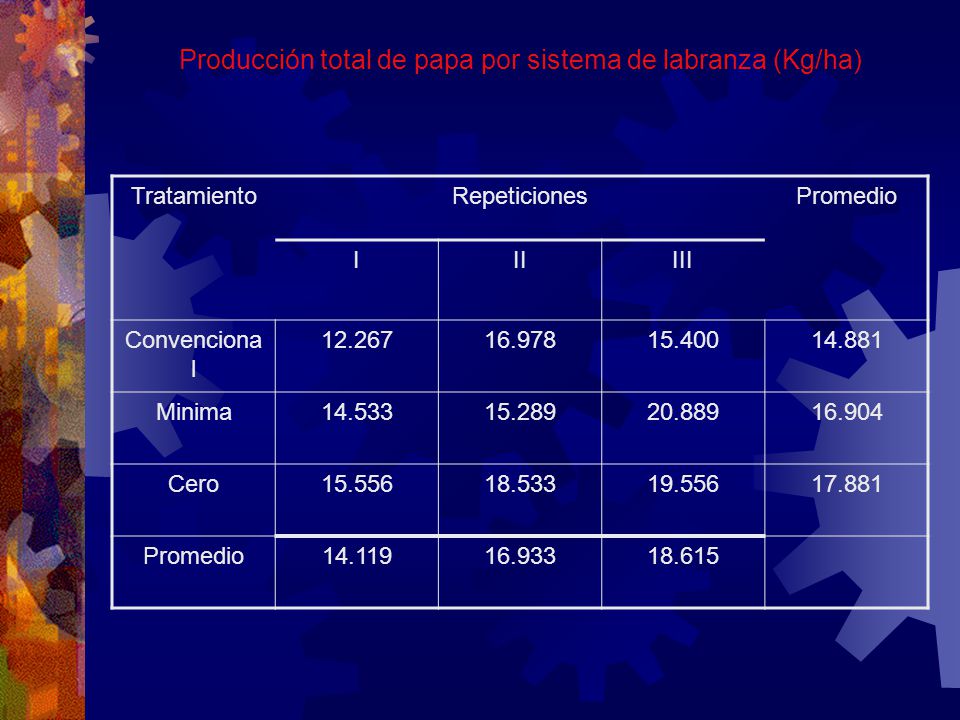 Producción total de papa por sistema de labranza (Kg/ha)