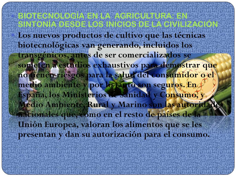 BIOTECNOLOGÍA EN LA AGRICULTURA: EN SINTONÍA DESDE LOS INICIOS DE LA CIVILIZACIÓN