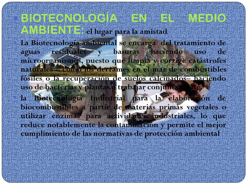 BIOTECNOLOGÍA EN EL MEDIO AMBIENTE: el lugar para la amistad