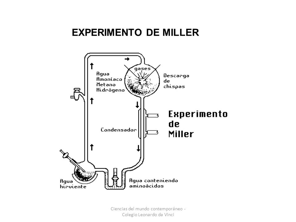 Ciencias del mundo contemporáneo - Colegio Leonardo da Vinci