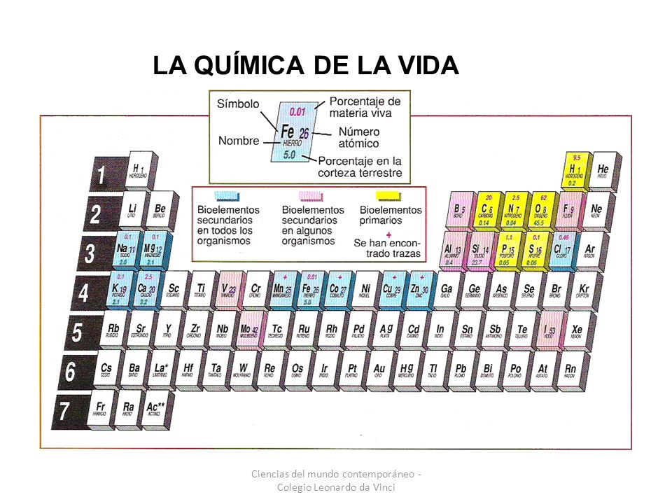 Ciencias del mundo contemporáneo - Colegio Leonardo da Vinci
