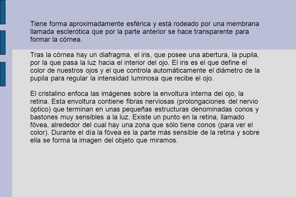 Tiene forma aproximadamente esférica y está rodeado por una membrana llamada esclerótica que por la parte anterior se hace transparente para formar la córnea.